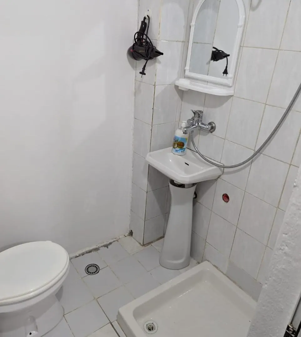 Zhizelle Xhamllik'Apartment Tirana Apartment