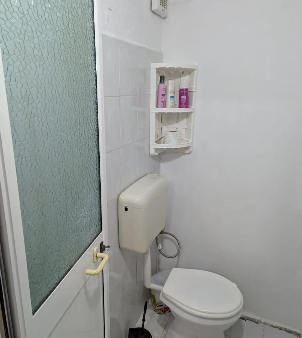 Zhizelle Xhamllik'Apartment Tirana 0*,